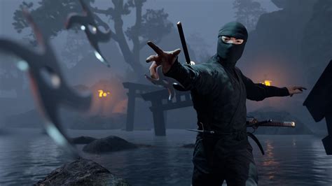 assassin ninja games
